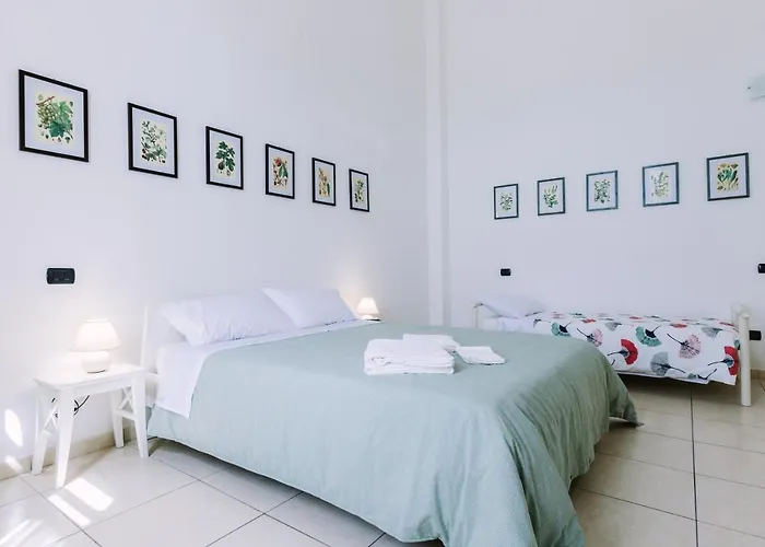 Pangea E Panthalassa Lecce