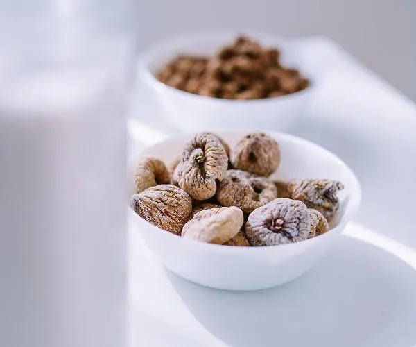 Pangea E Panthalassa Bed & Breakfast Lecce