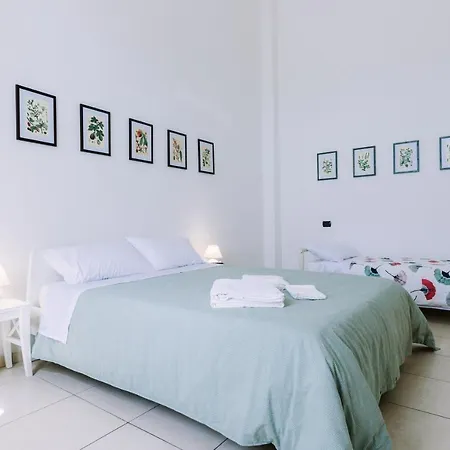 Pangea E Panthálassa Lecce